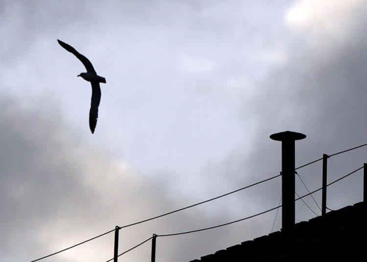 EPA/ANGELO CARCONI