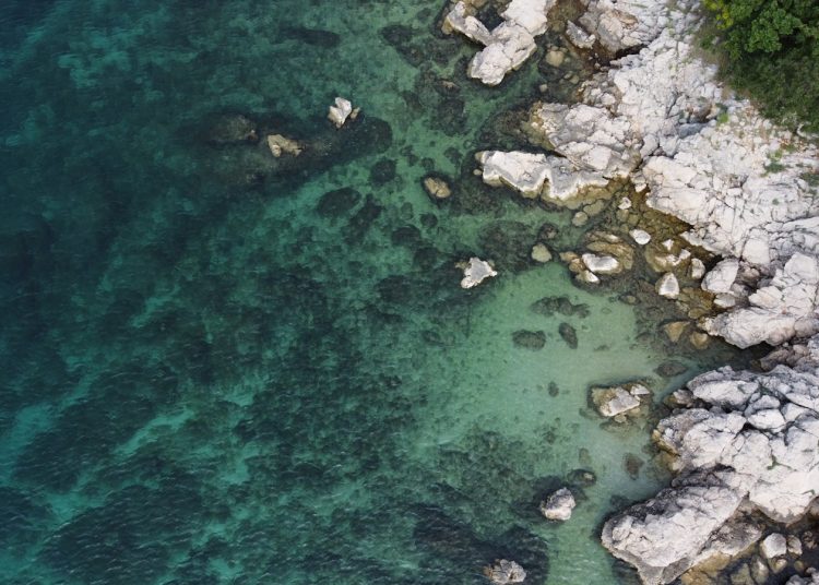 aerial view of body of water