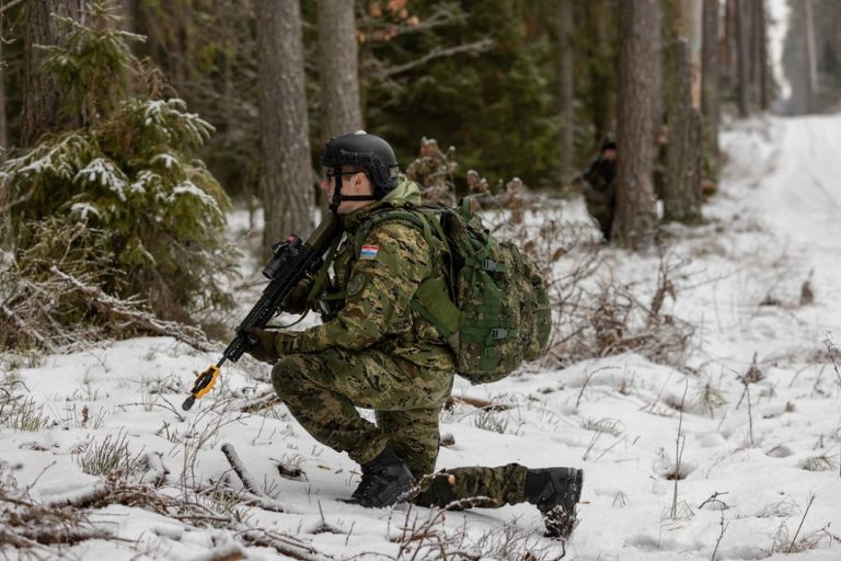 Vojni rok: Obuka prvih ročnika krajem ove ili najkasnije početkom iduće godine