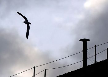 Vatikan isključuje telefonski signal tijekom konklave