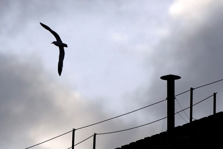 Vatikan isključuje telefonski signal tijekom konklave