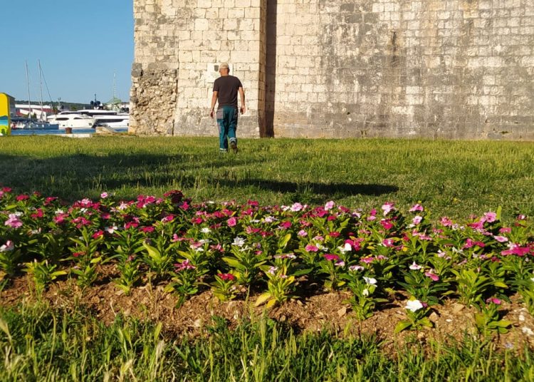 Brinu o zelenim plućima Trogira: Potplaćeni i bez slobodnih dana