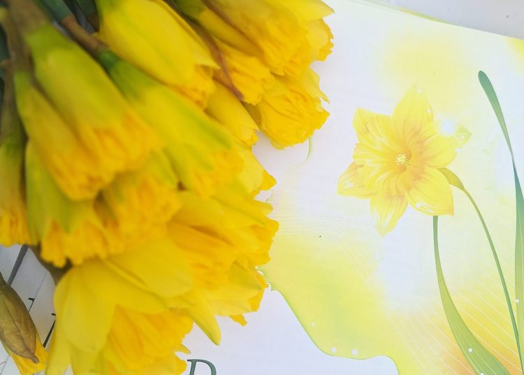 Humanitarna akcija u Trogiru: Obilježen 30. Dan narcisa