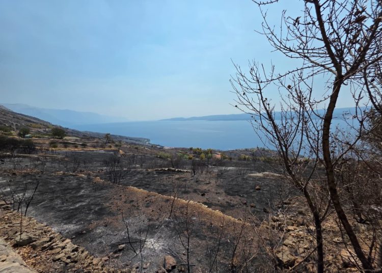Foto: dalmacija.hr